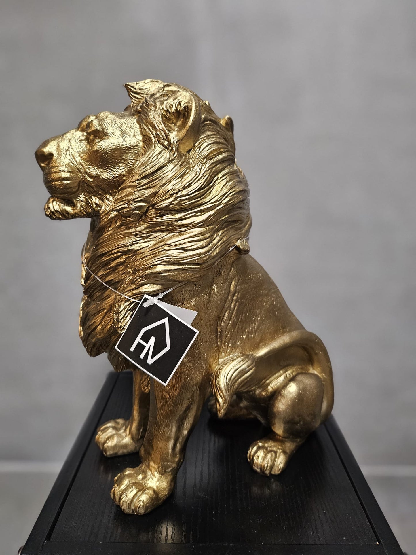 Gouden Leeuw