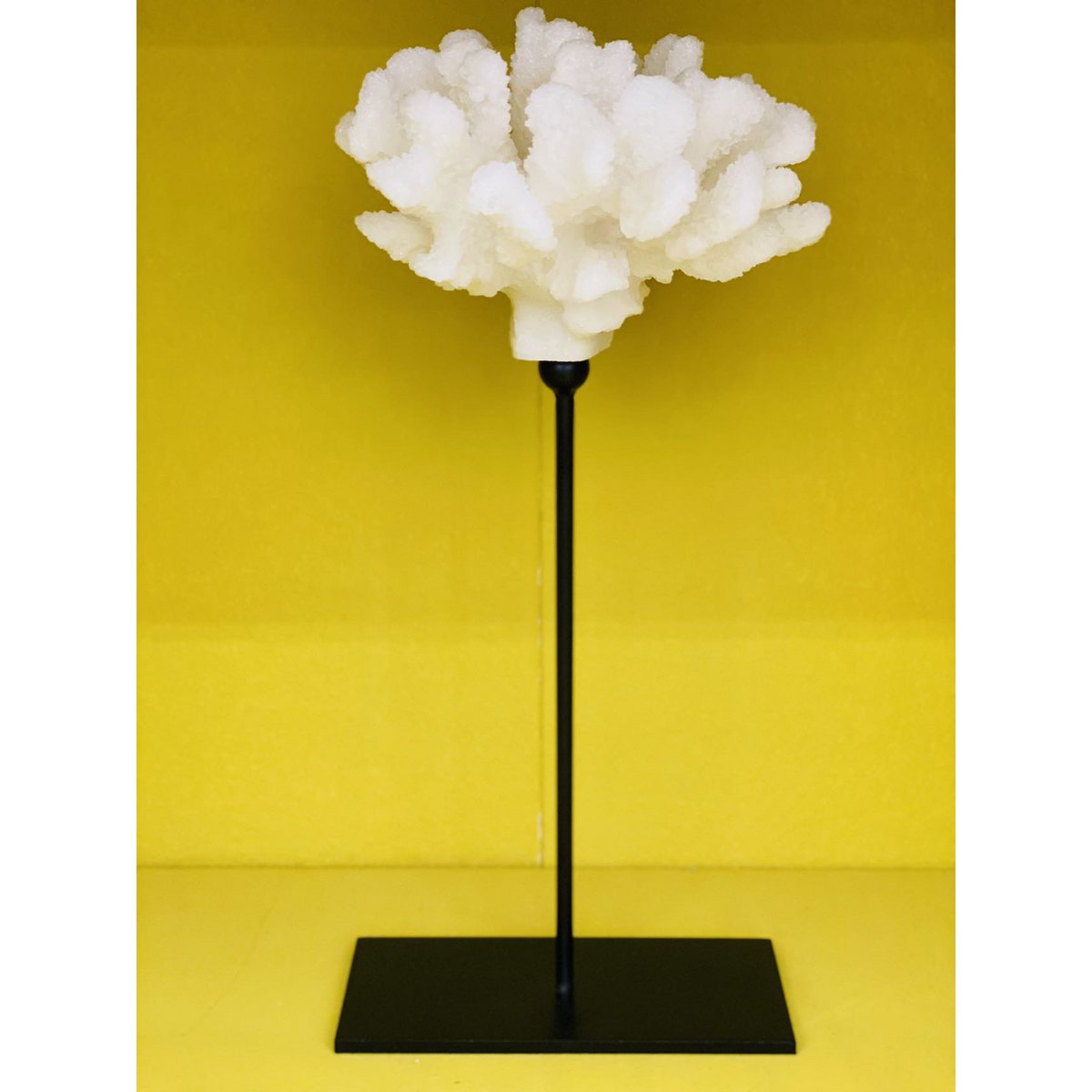 Koraalcollectie met metalen standaard -L-maat: H29cm B15cm D15cm