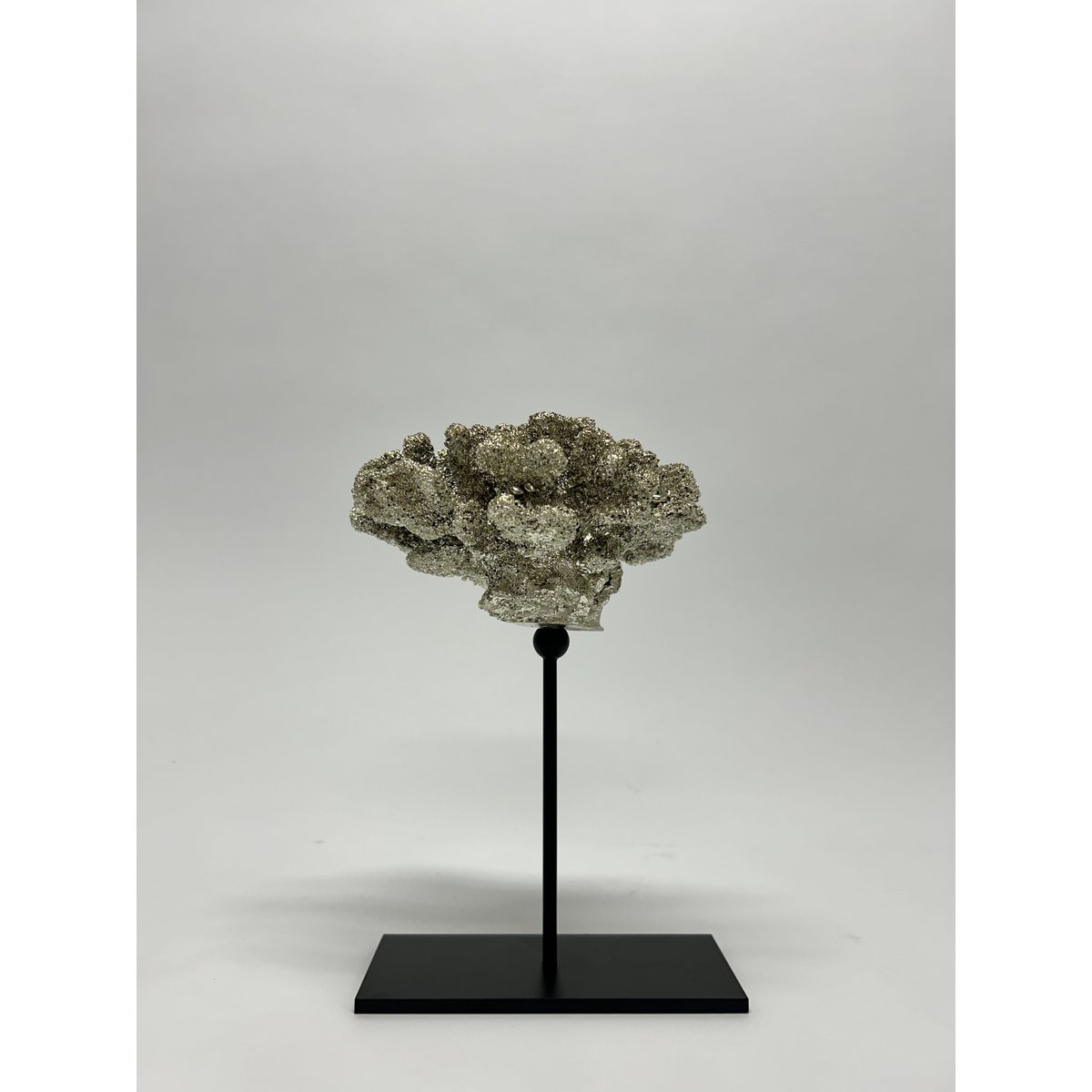 Coral collectie met metalen standaard (ZILVERKLEUR)