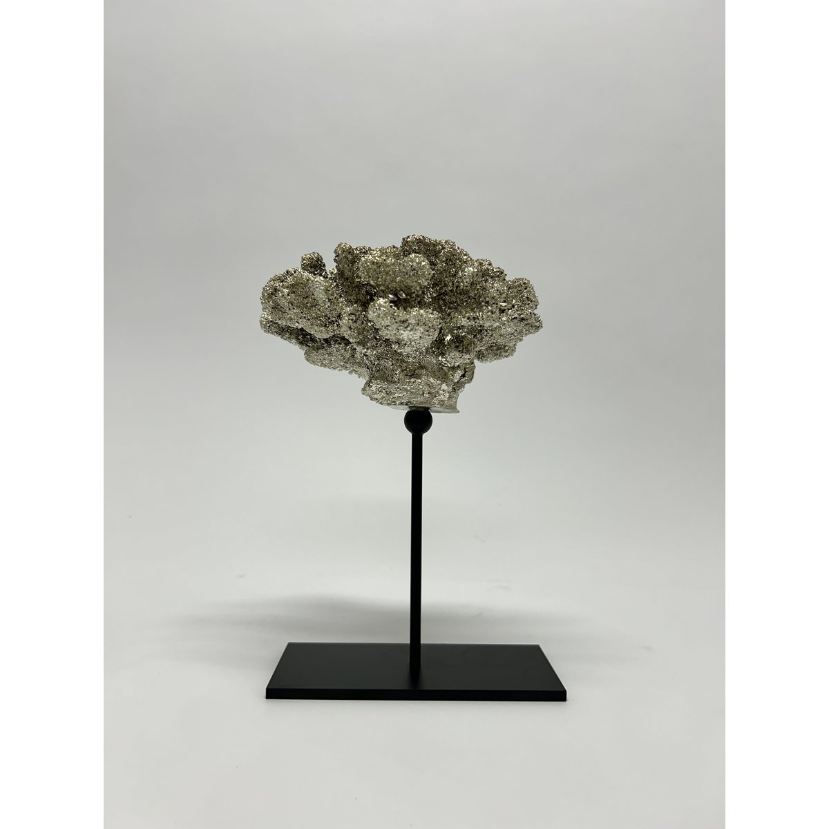 Coral collectie met metalen standaard (ZILVERKLEUR)