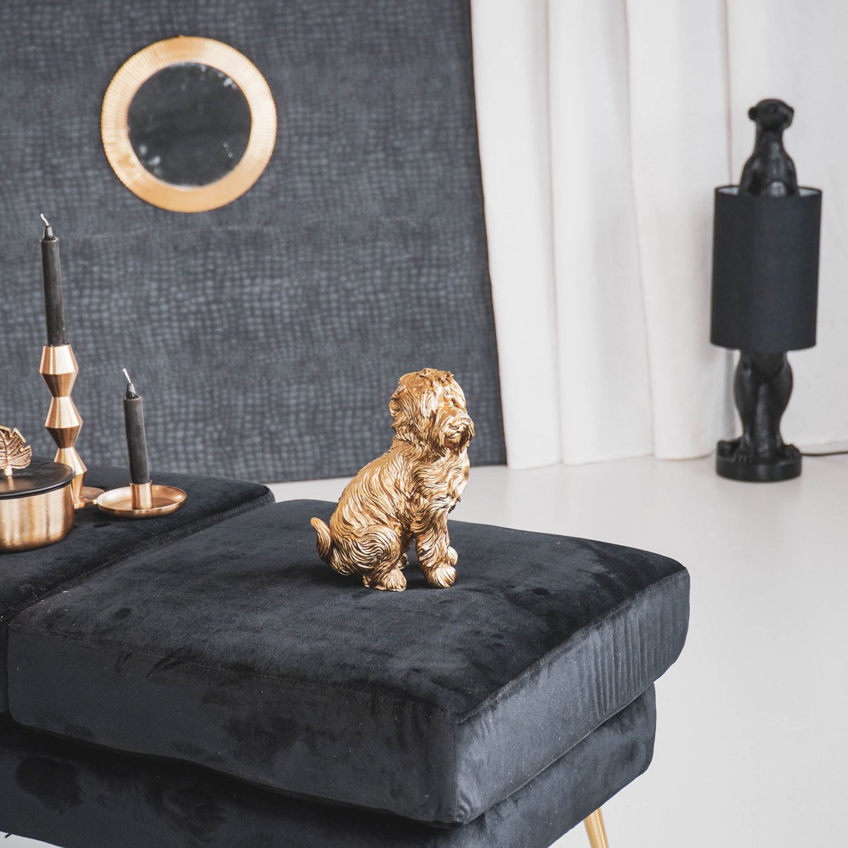 HV Gouden Labradoodle