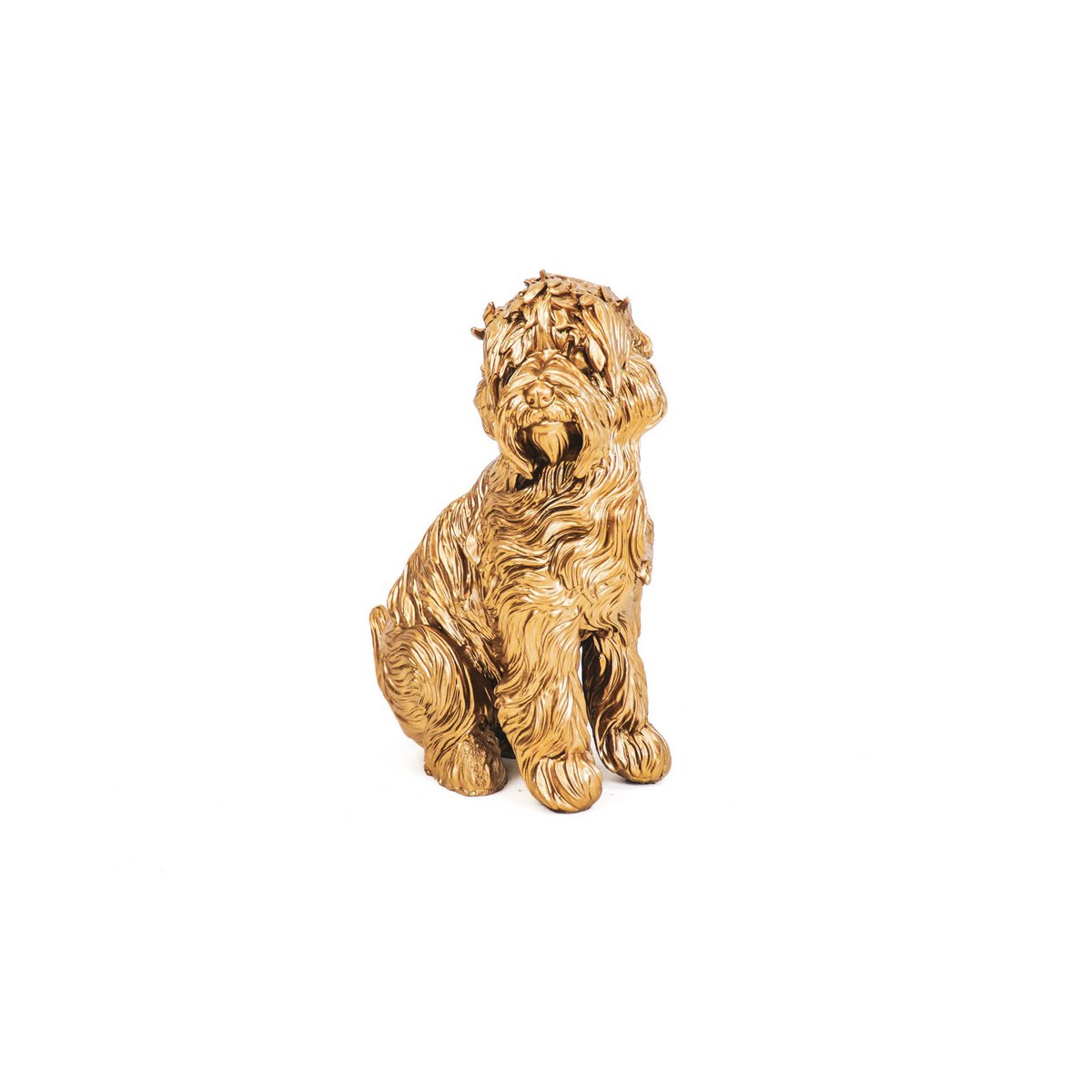 HV Gouden Labradoodle