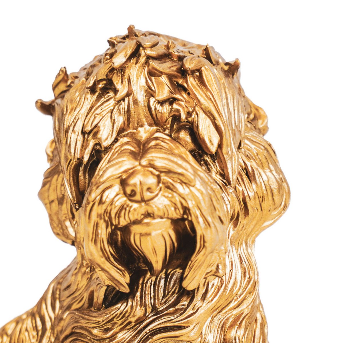 HV Gouden Labradoodle