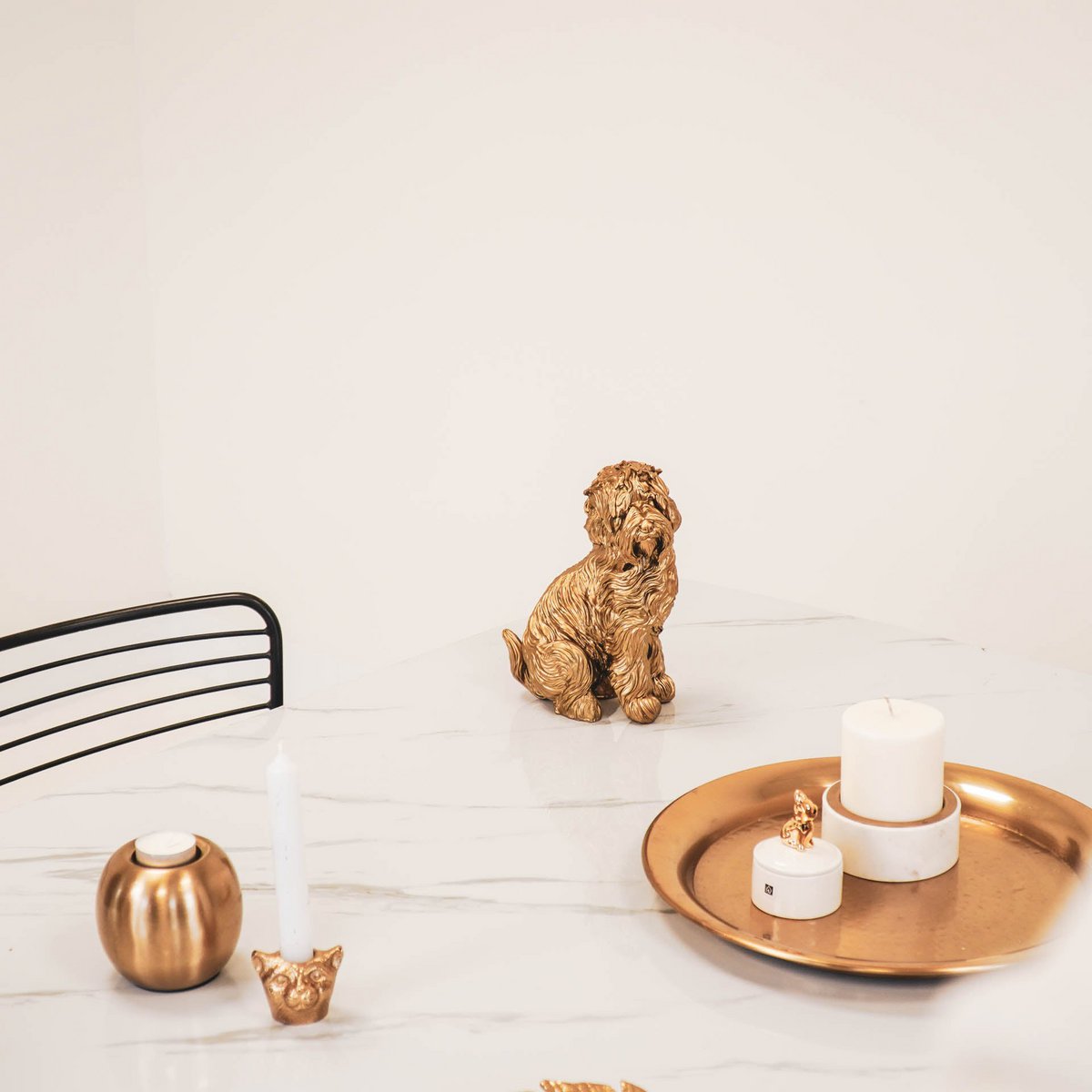 HV Gouden Labradoodle