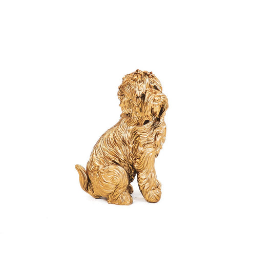 HV Gouden Labradoodle
